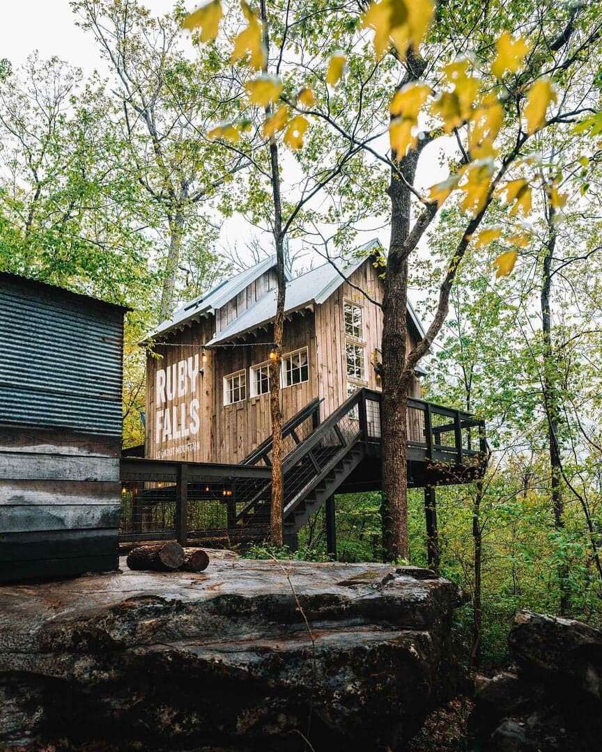 Red Bud Treehouse by Treetop Hideaways - Photo 3