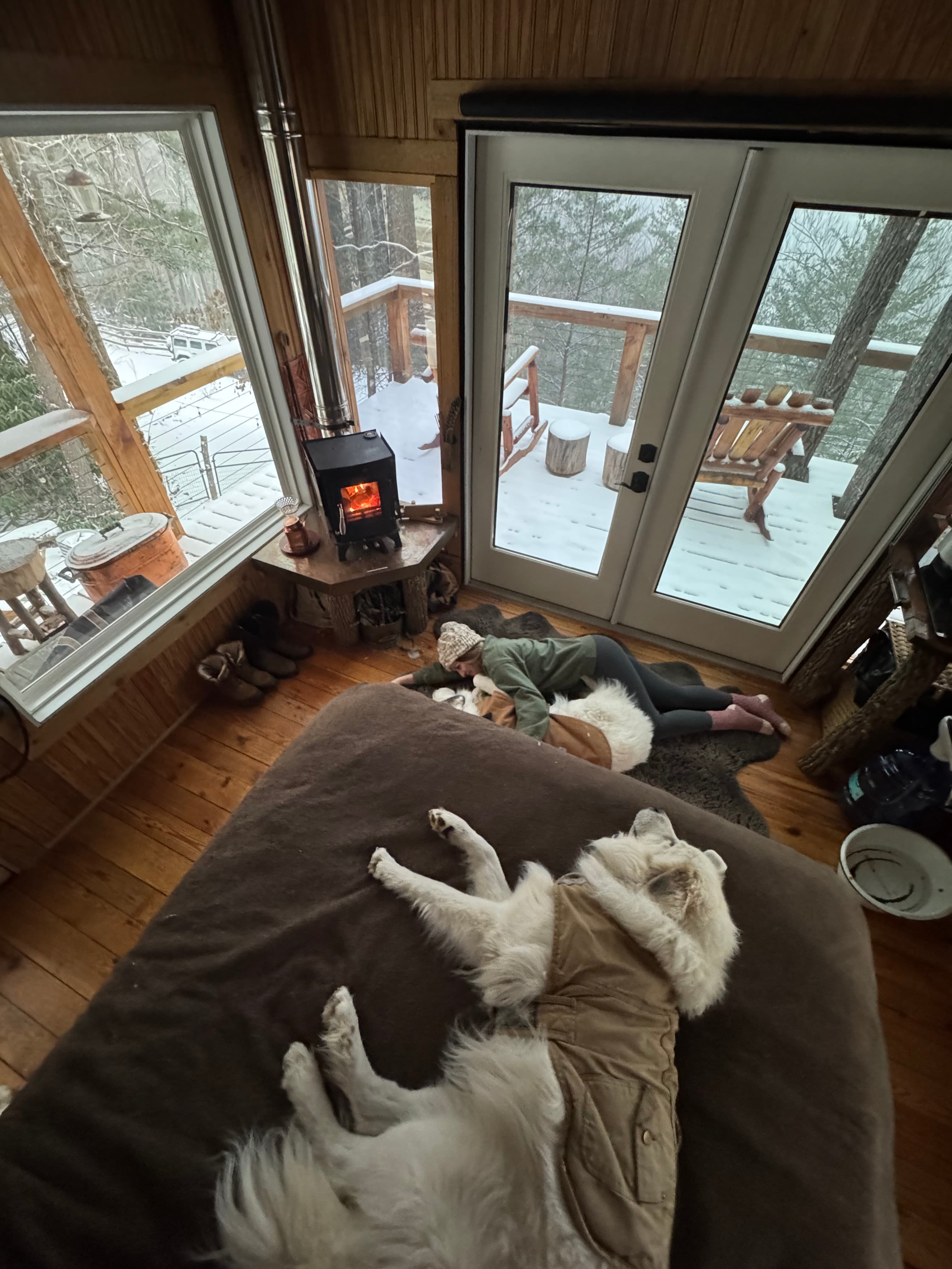 Flowertown Charm Off-Grid Treehouse with Highland Cows - Photo 4