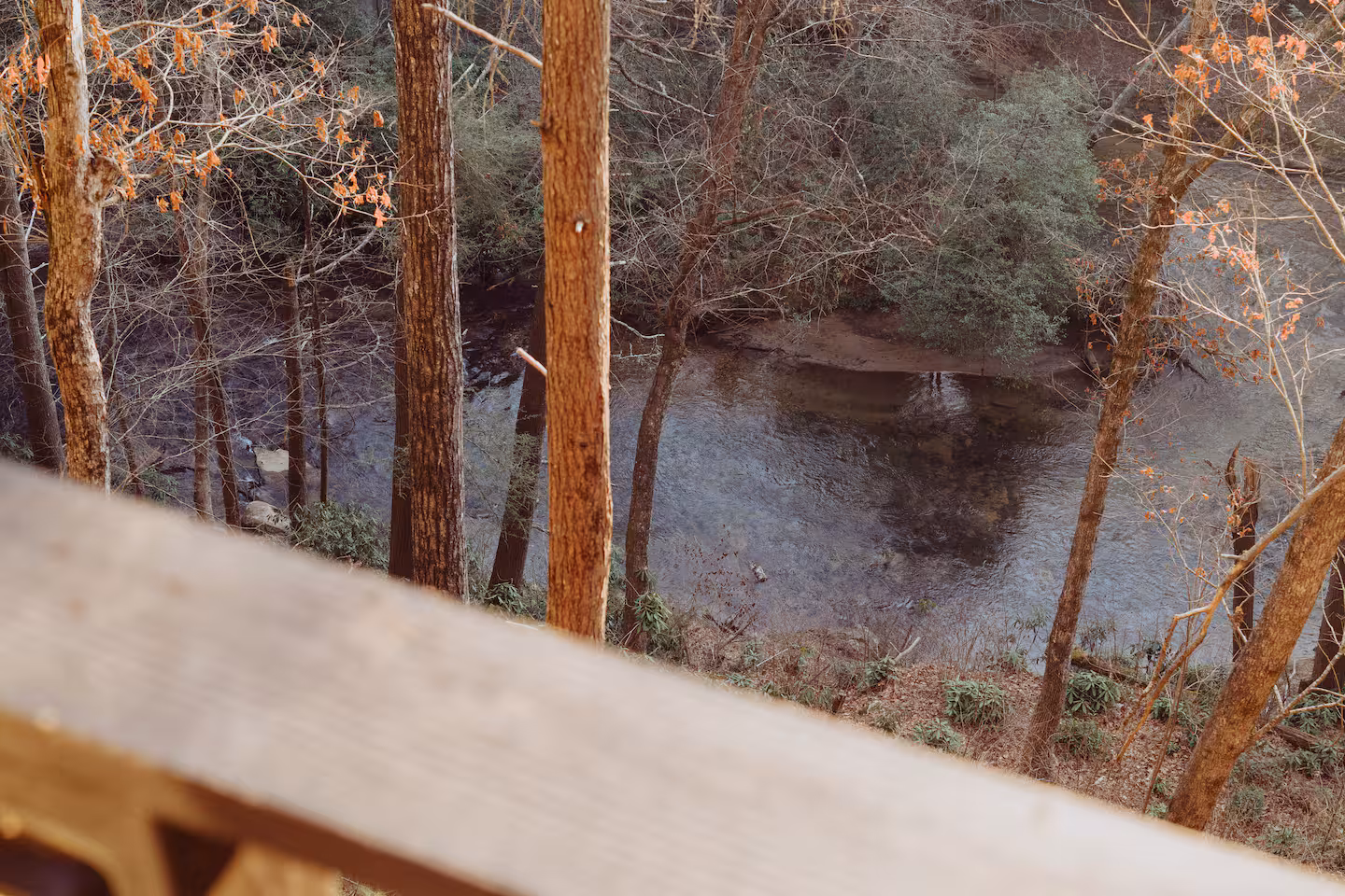 Apex Treehouse - Photo 5