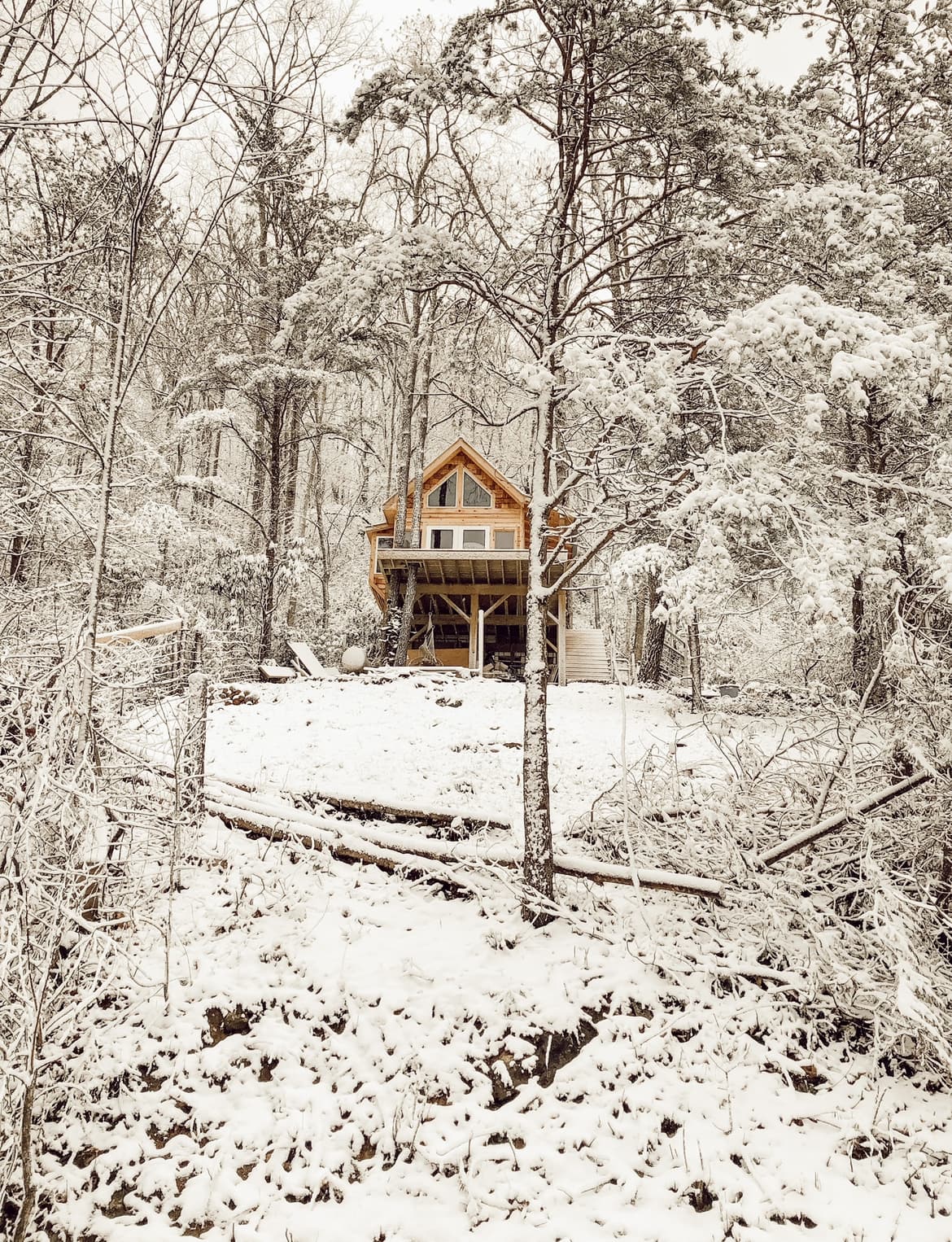 Flowertown Charm Off-Grid Treehouse with Highland Cows - treehouse in Canton, North Carolina